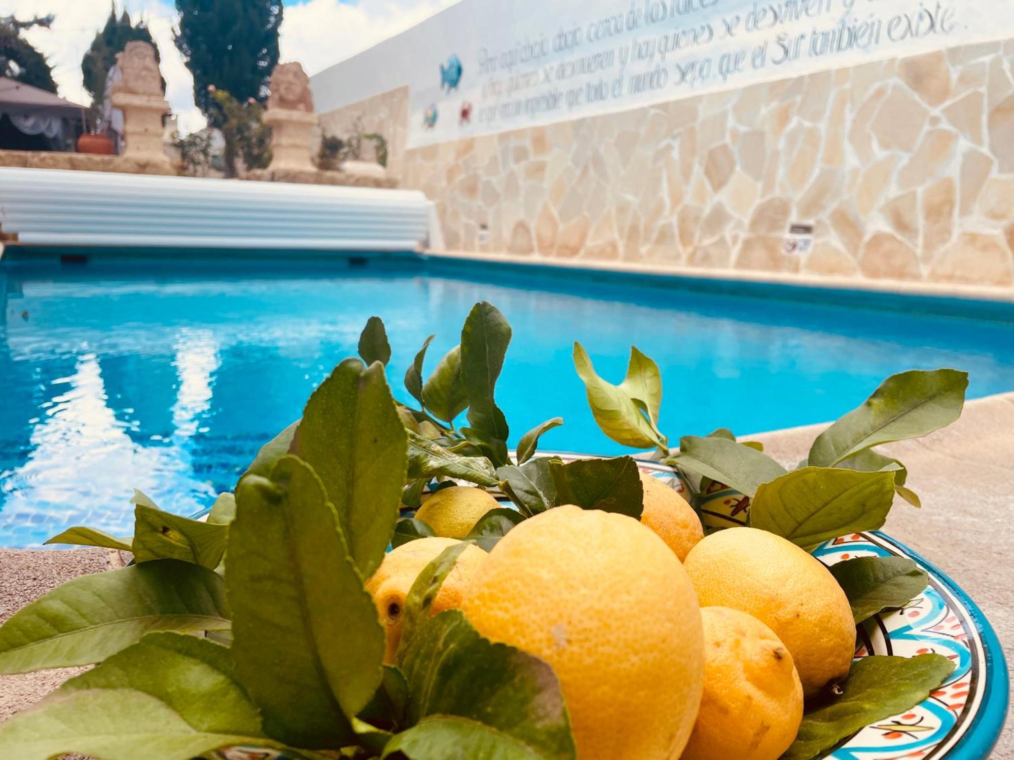 Authentic Canary Style Villa With Private Pool And Garden- Casa Juan Vera Granadilla De Abona Eksteriør billede